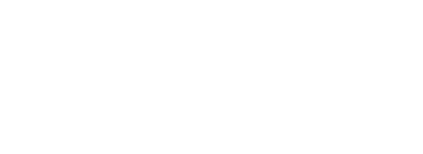 www.felipecoaquira.com